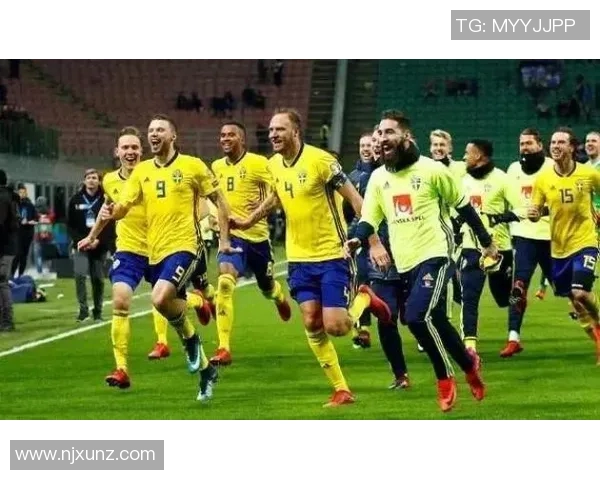 足球明星代言的护具品牌推荐及其特点分析