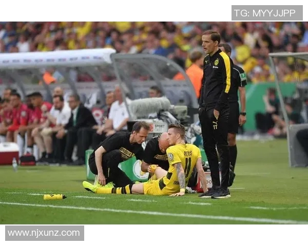 足球明星的伤病史揭秘哪位球员能够全程无伤出战